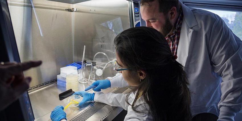 A student in a lab with a professor while earning her biology degree in CT